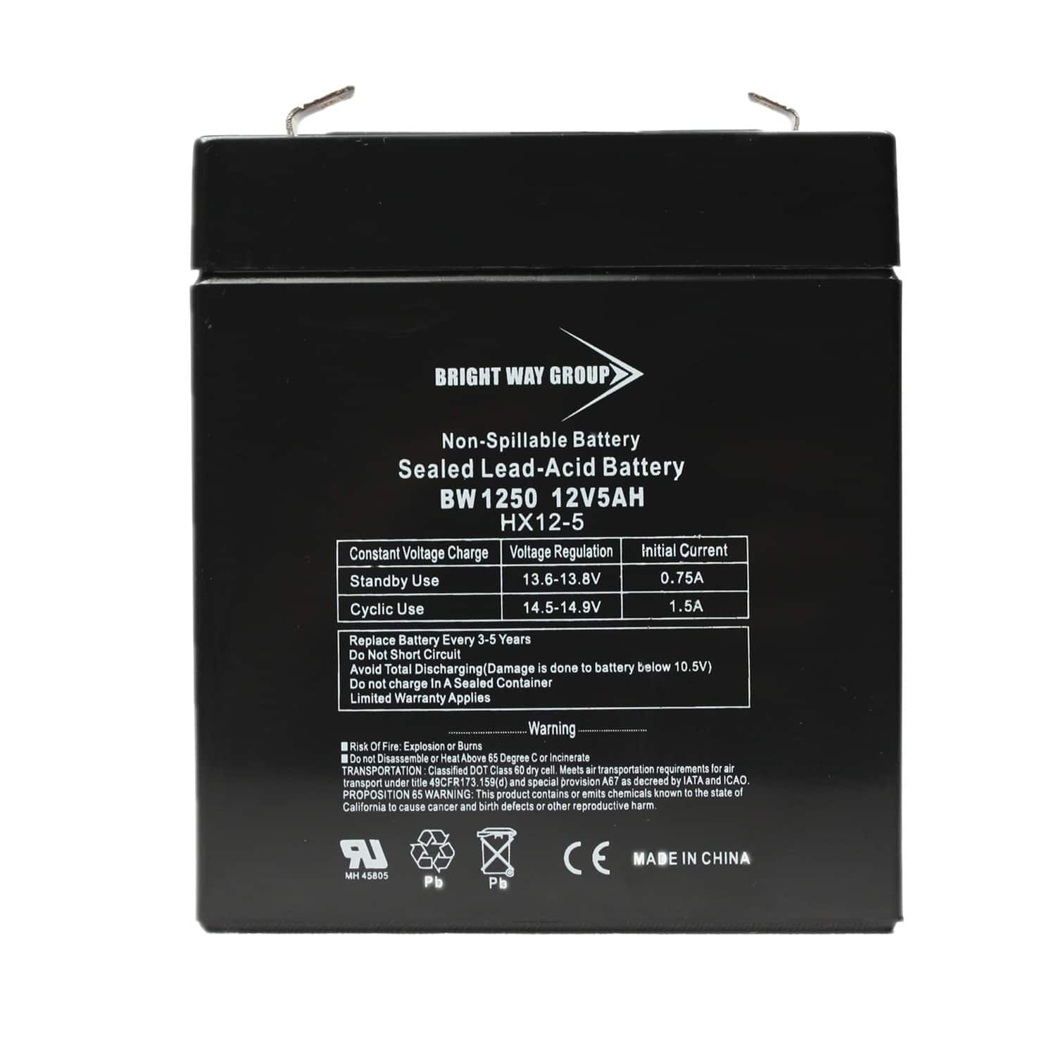 BRIGHT WAY GROUP - BWG 1250 F1 Battery