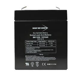 BRIGHT WAY GROUP - BWG 1250 F1 Battery