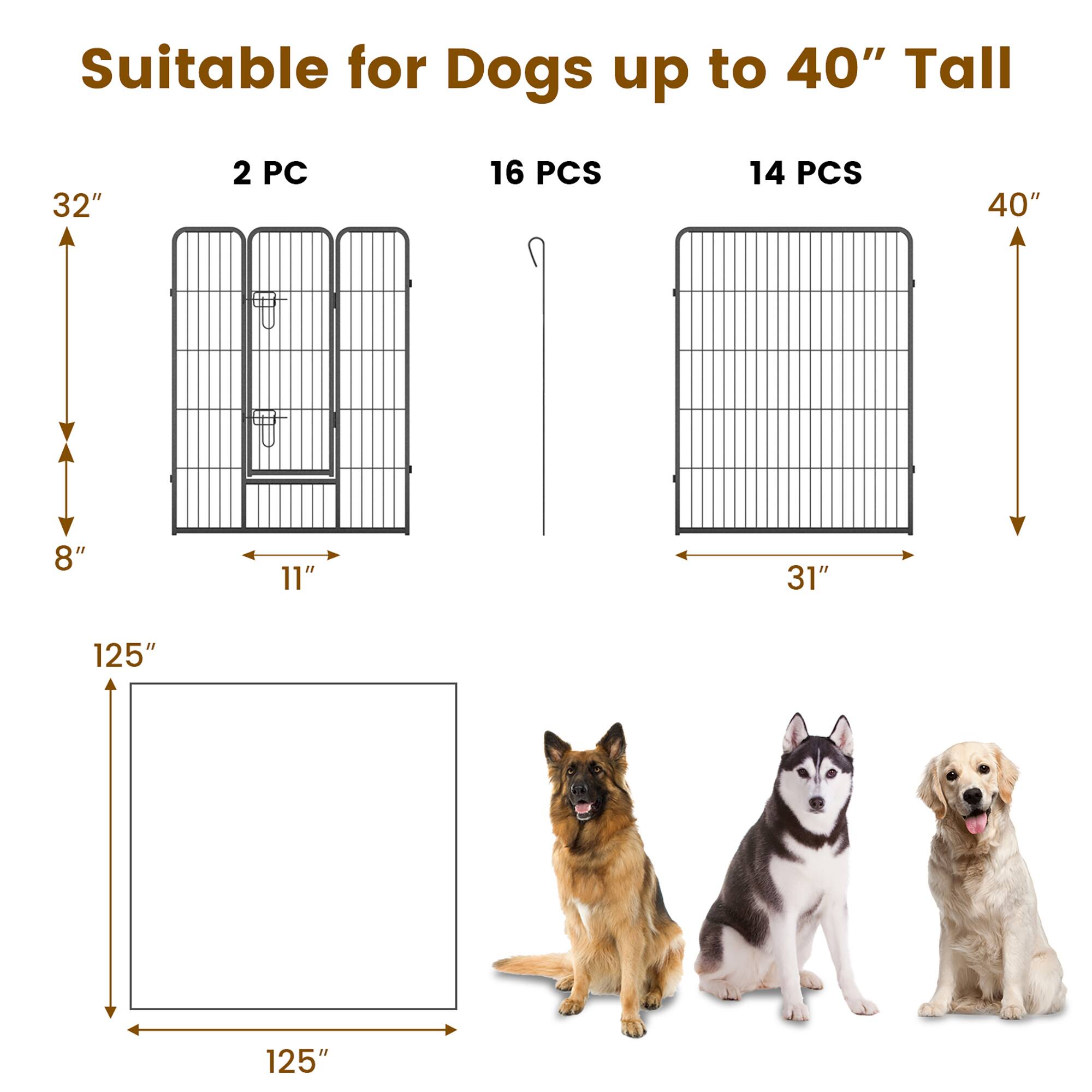 Suitable for Dogs up to 40" Tall

2 PC  
32"  
8"  
11"  
125" x 125"  

16 PCS  

14 PCS  
40"  
31"