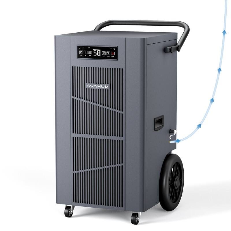 000 C 58 0O W D AVAHUM