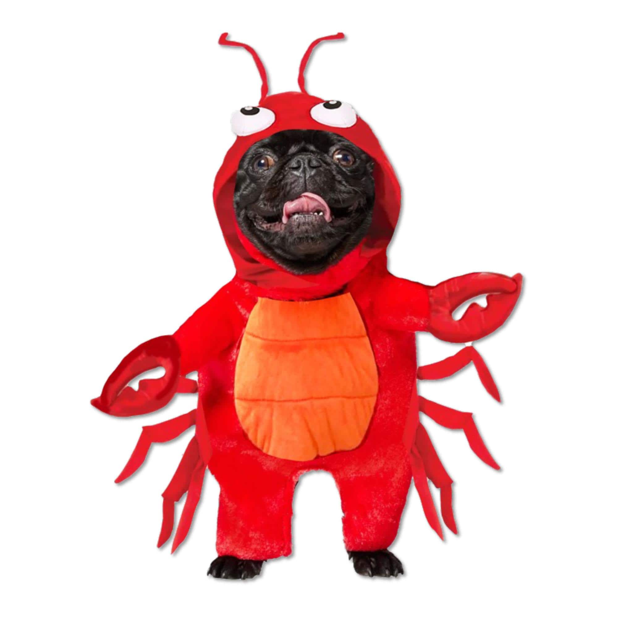 Funworld - Lobster Pet Costume | Small - Red