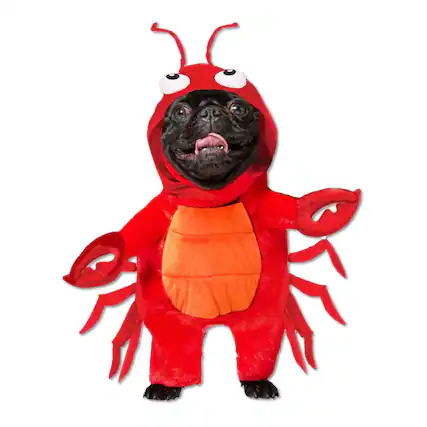 Front. Funworld - Lobster Pet Costume | Small - Red.
