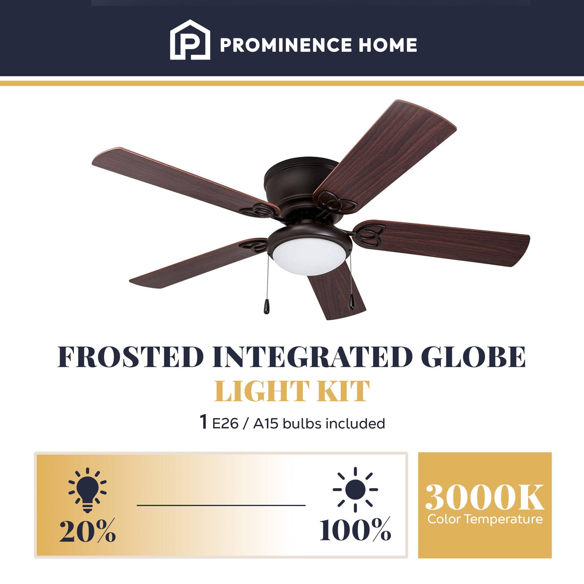 PROMINENCE HOME  
FROSTED INTEGRATED GLOBE LIGHT KIT  
1 E26 / A15 bulbs included  
20%  
3000K Color Temperature  
100%
