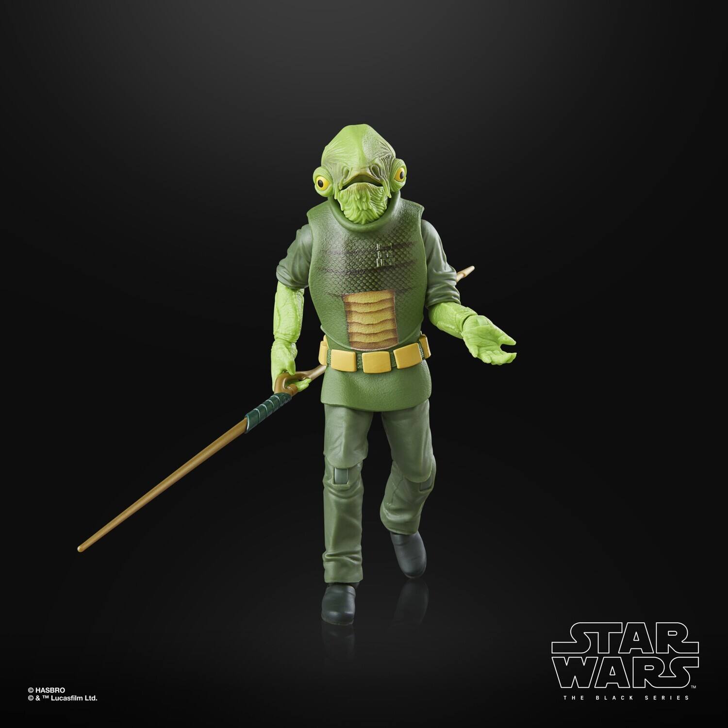 HASBRO & TM Lucasfilm Ltd.  
STAR WARS THE BLACK SERIES