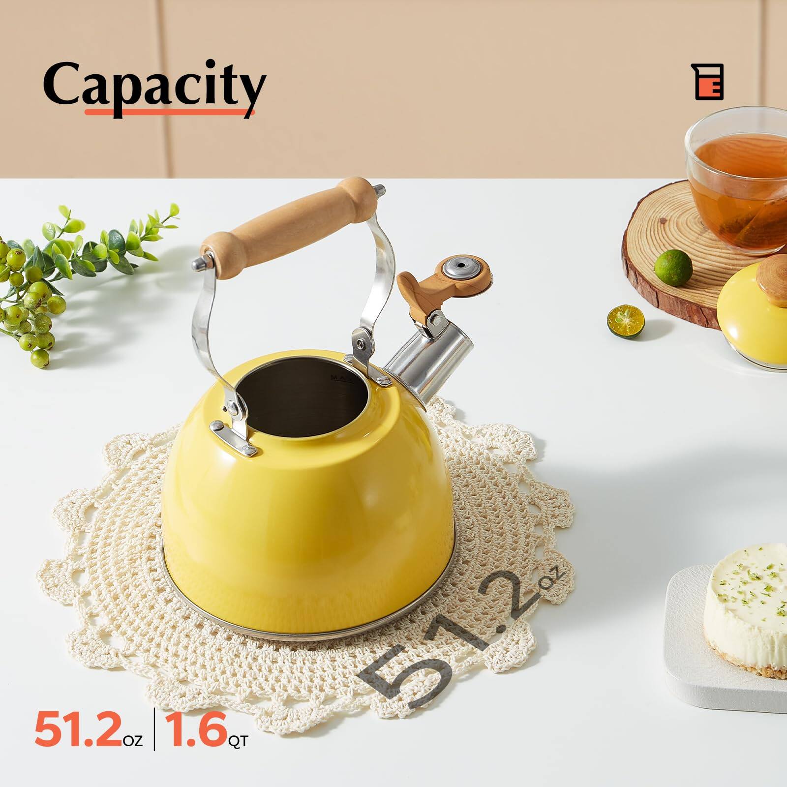 Capacity  
51.2 oz | 1.6 QT