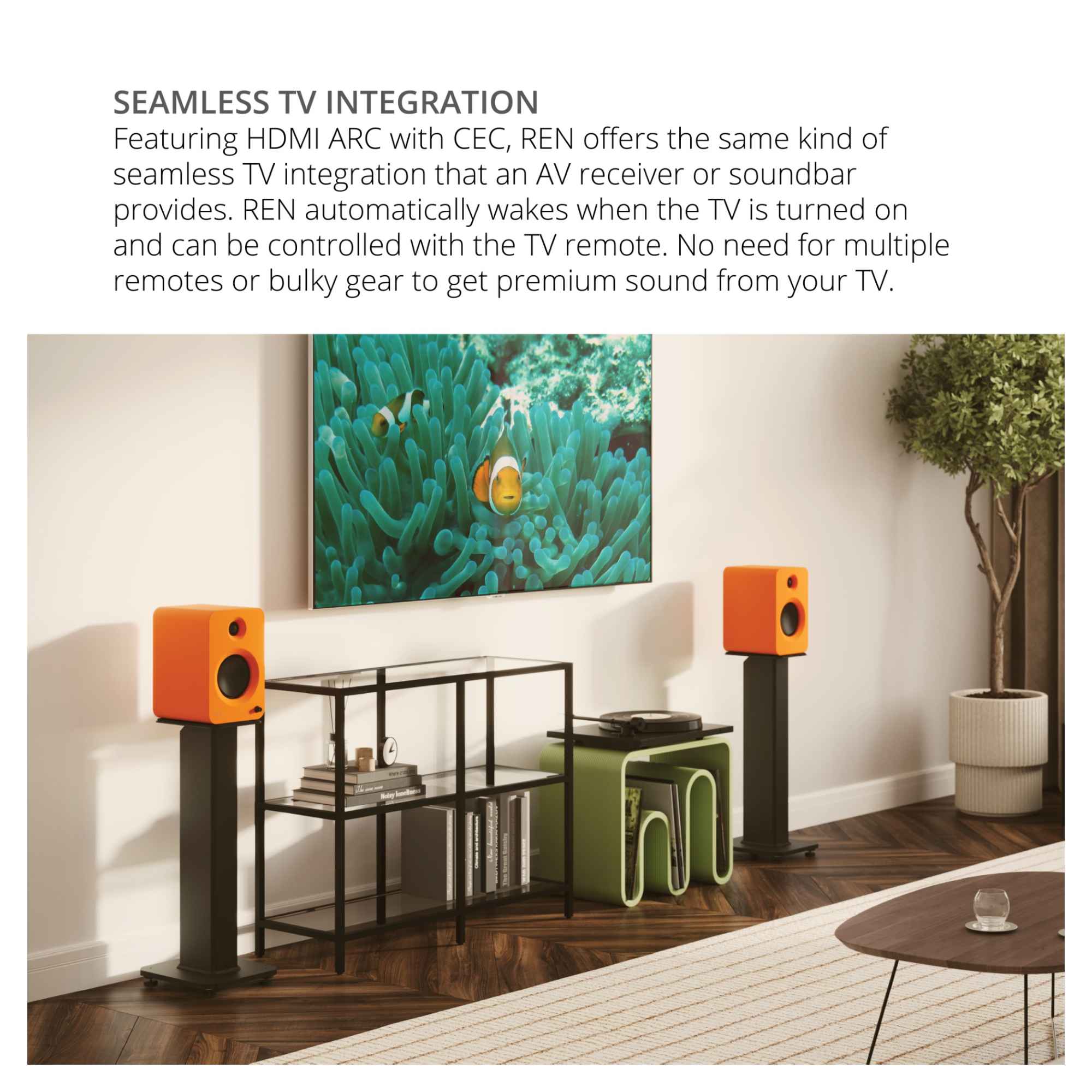 SEAMLESS TV INTEGRATION  
Featuring HDMI ARC with CEC, REN offers the same kind of seamless TV integration that an AV receiver or soundbar provides. REN automatically wakes when the TV is turned on and can be controlled with the TV remote. No need for multiple remotes or bulky gear to get premium sound from your TV.