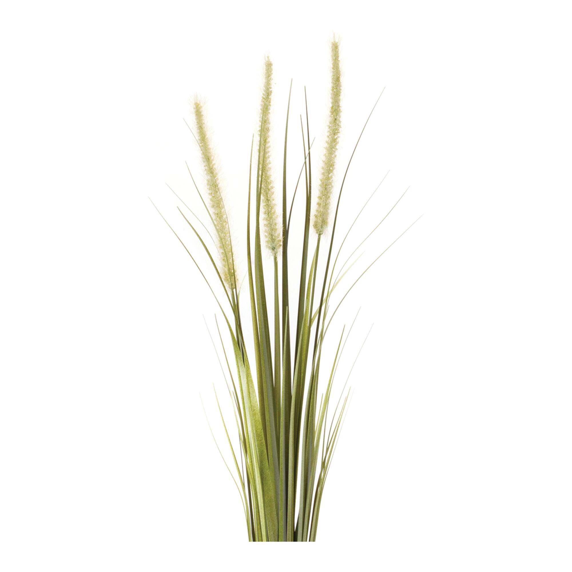 Angle. BreeBe - Foxtail Bush (Set of 6) - Green, Tan.