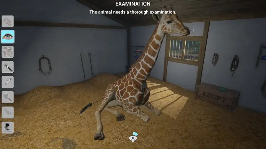 The animal needs a thorough examination.