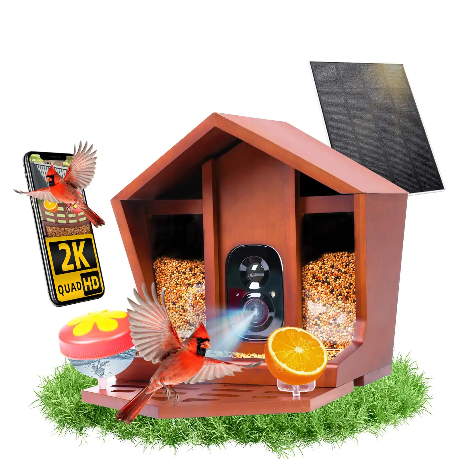 Hanke Smart Bird Feeder Camera Solar Ai Video Live Instant Arrival ...
