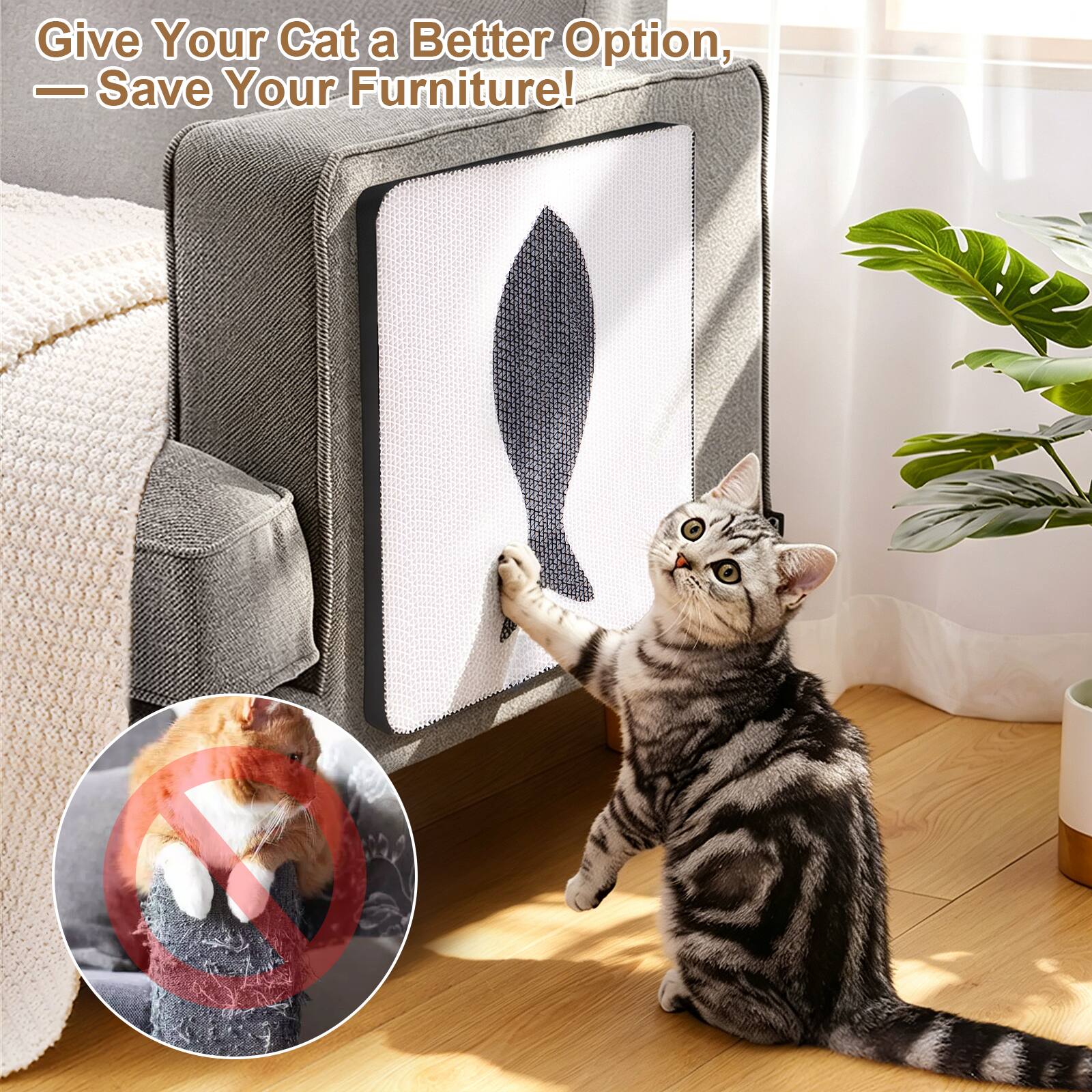 Give Your Cat a Better Option,  
— Save Your Furniture!