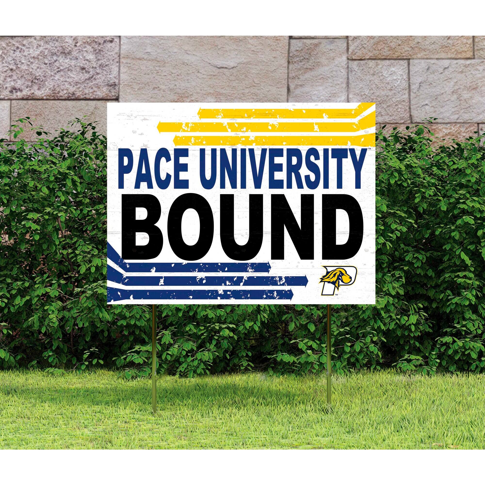 PACE UNIVERSITY  
BOUND