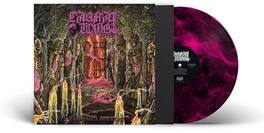 Carnal Tomb - Embalmed In Decay - Magenta/Black Marble - VINYL LP