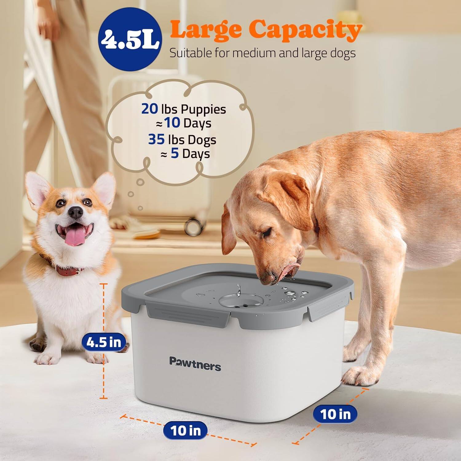 4.5L Large Capacity  
Suitable for medium and large dogs  

20 lbs Puppies  
≈ 10 Days  

35 lbs Dogs  
≈ 5 Days  

4.5 in  
10 in  
10 in