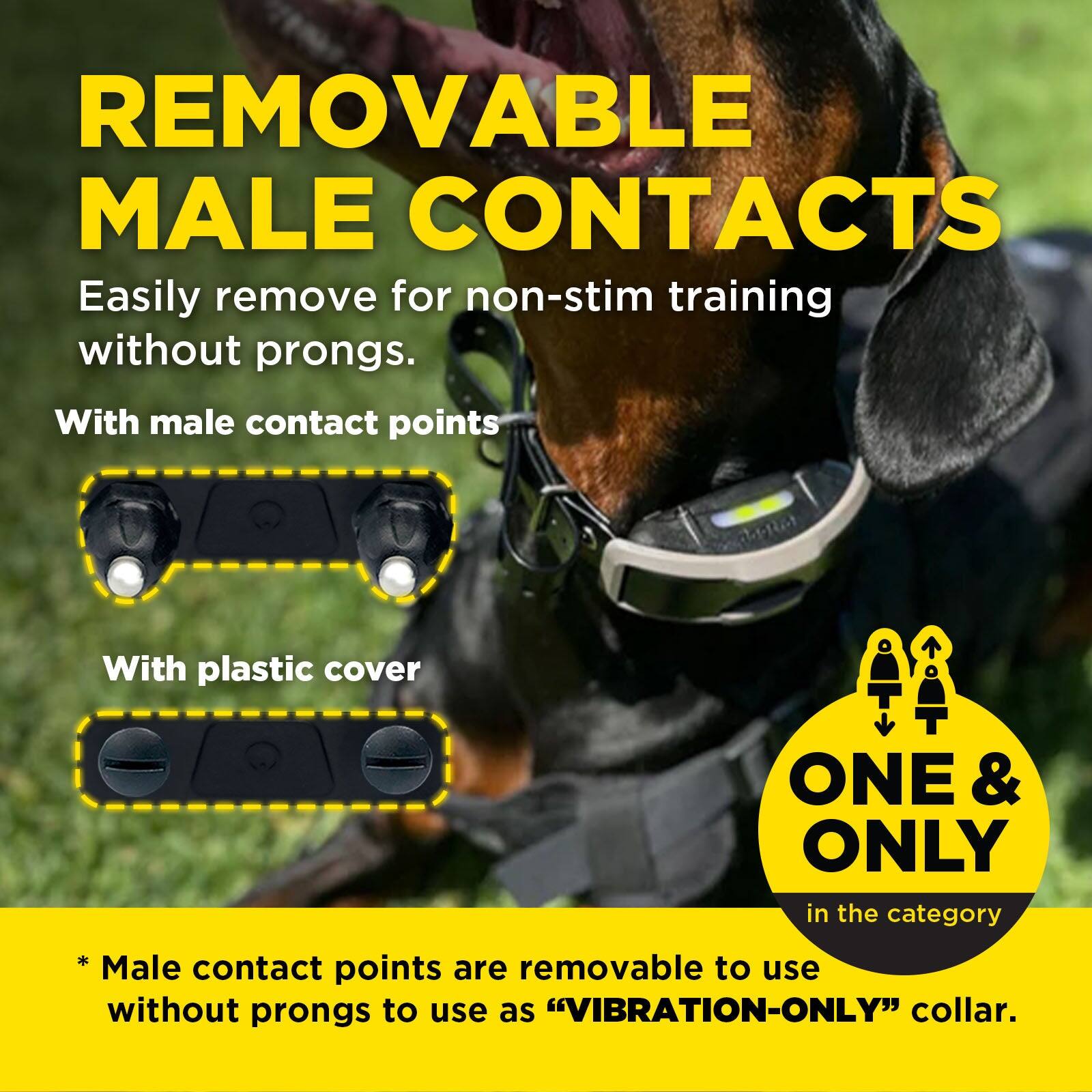 REMOVABLE MALE CONTACTS

Easily remove for non-stim training without prongs.

With male contact points

With plastic cover

ONE & ONLY in the category

* Male contact points are removable to use without prongs to use as "VIBRATION-ONLY" collar.