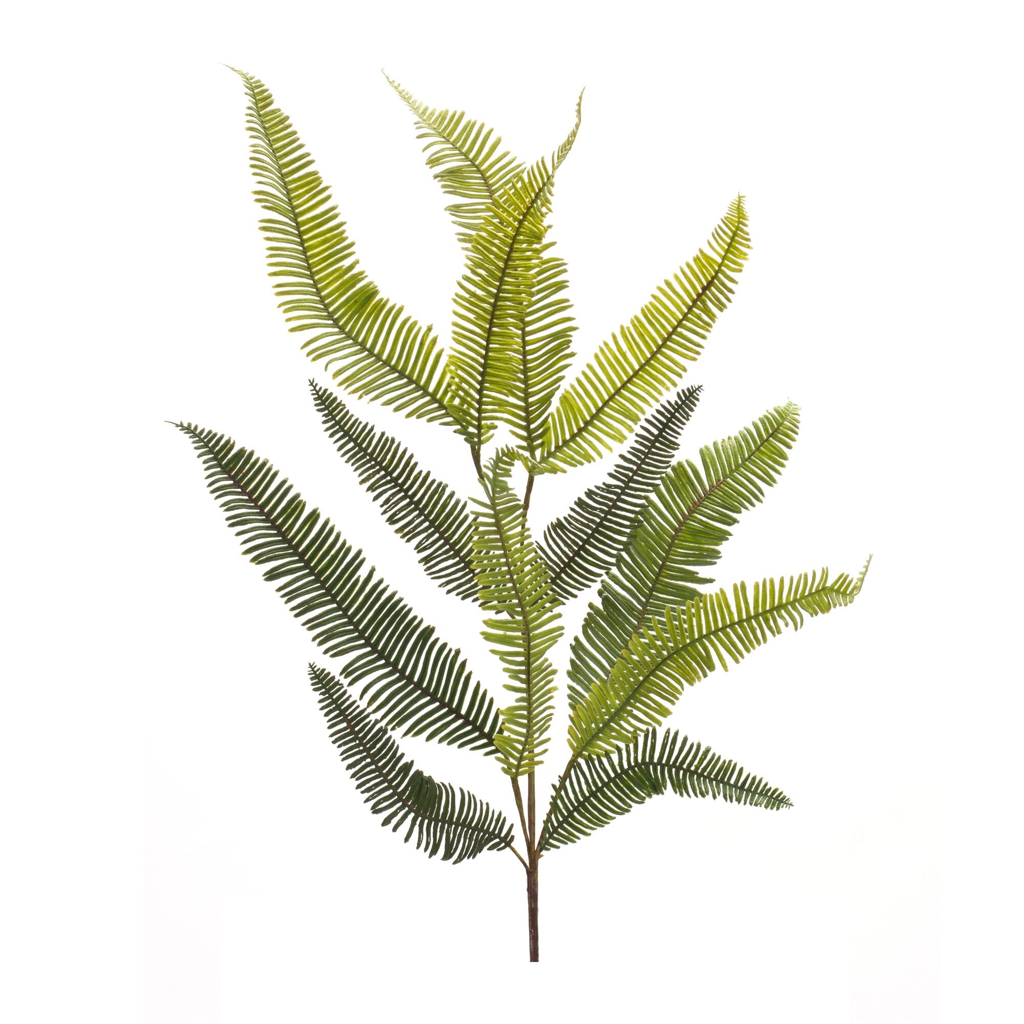 Angle. BreeBe - Varigated Fern Foliage Spray (Set of 6) - Green, Brown.