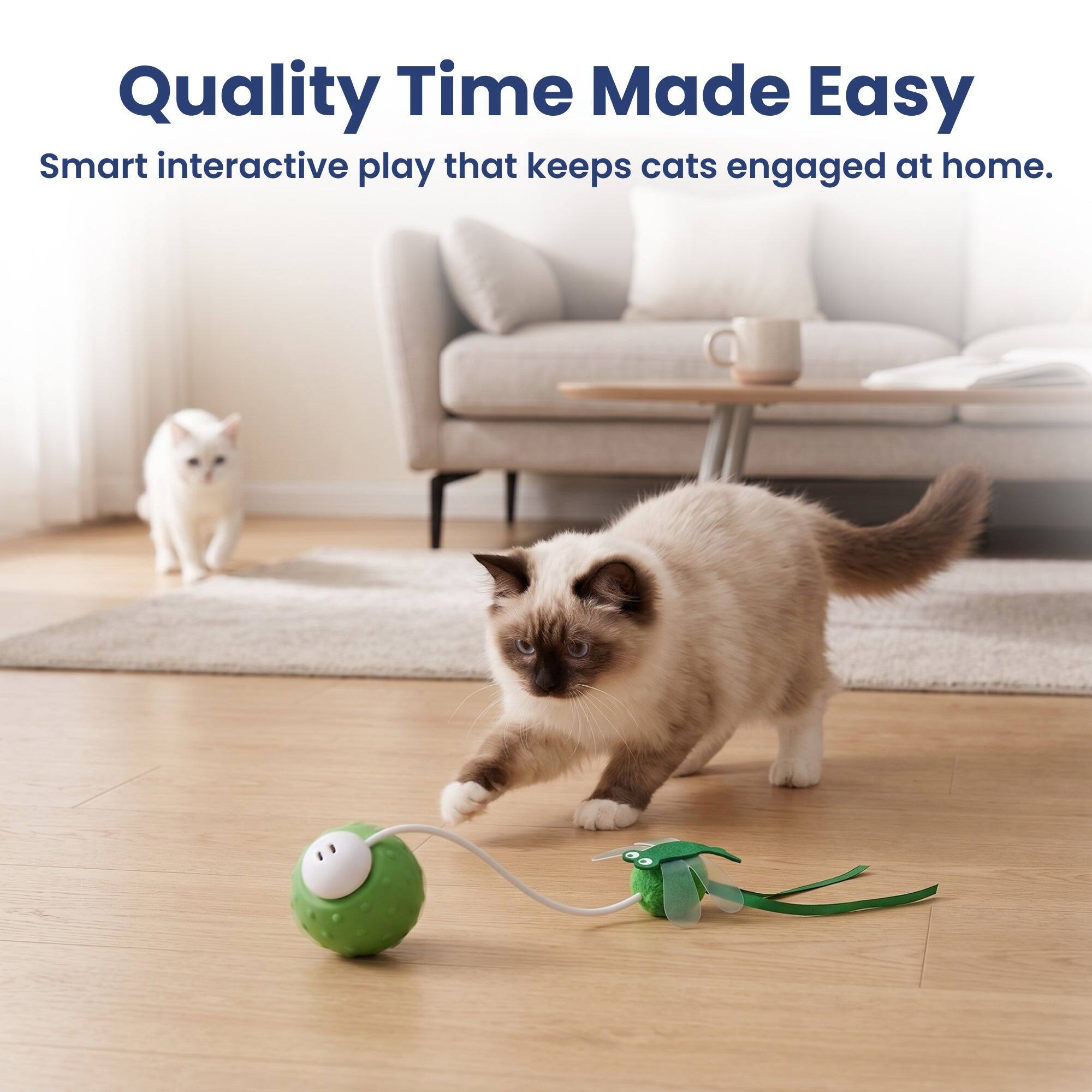 Quality Time Made Easy  
Smart interactive play that keeps cats engaged at home.