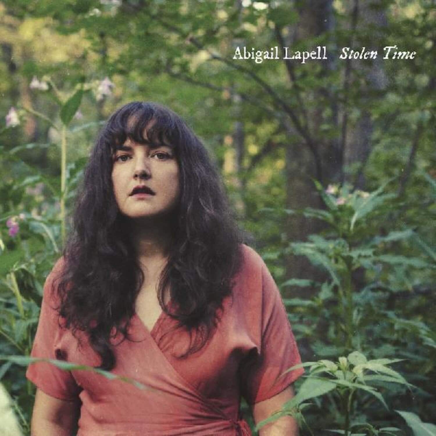 Abigail Lapell - Stolen Time   - VINYL LP price history on PriceWatchPro