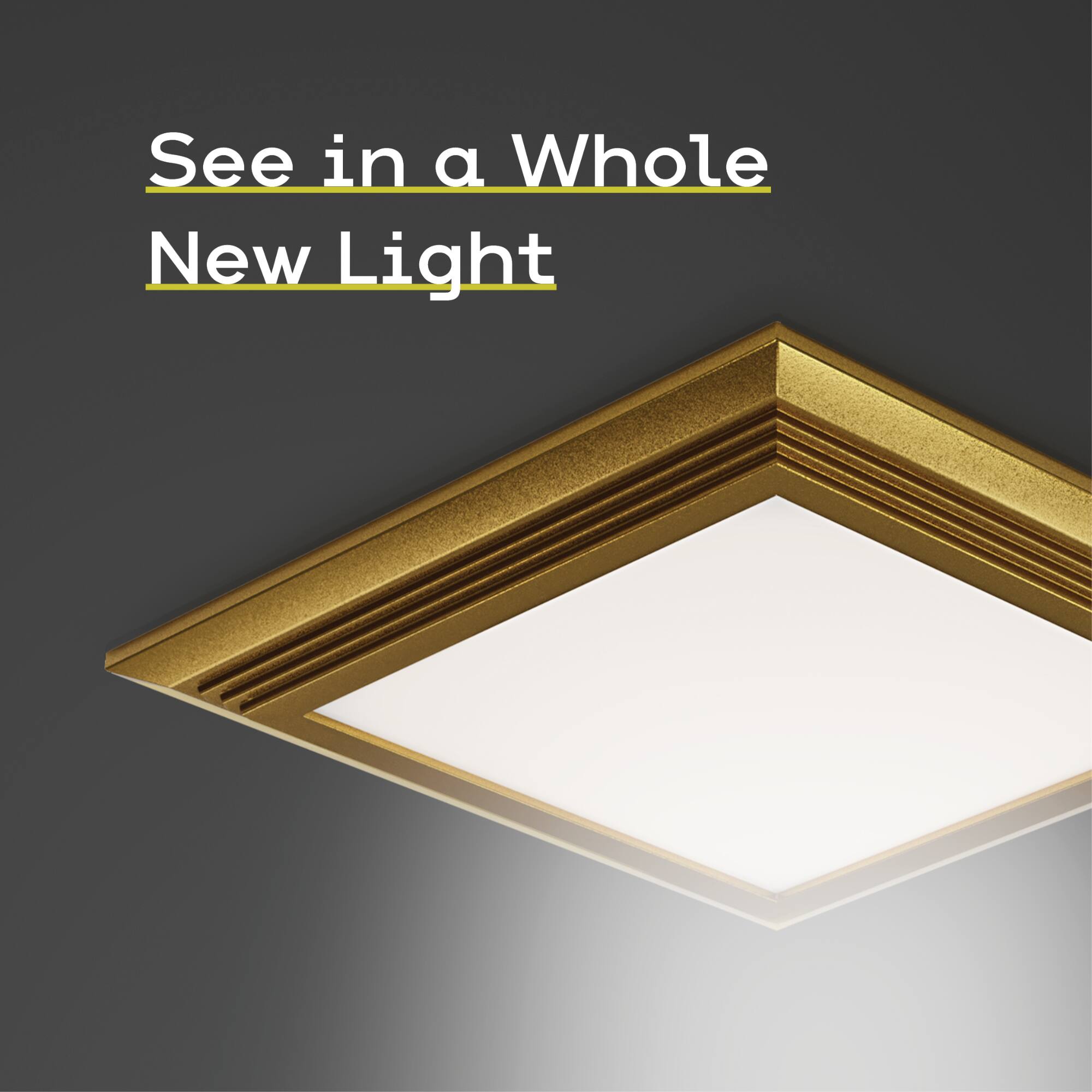 See in a Whole New Light