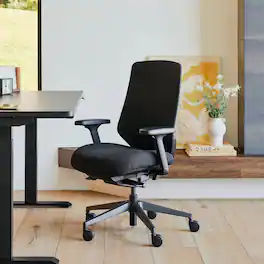 Branch Furniture - Ergonomic Chair Pro – Premium Office Seating with 14 Points of Adjustment & Dynamic Lumbar Support - Black / Boulder