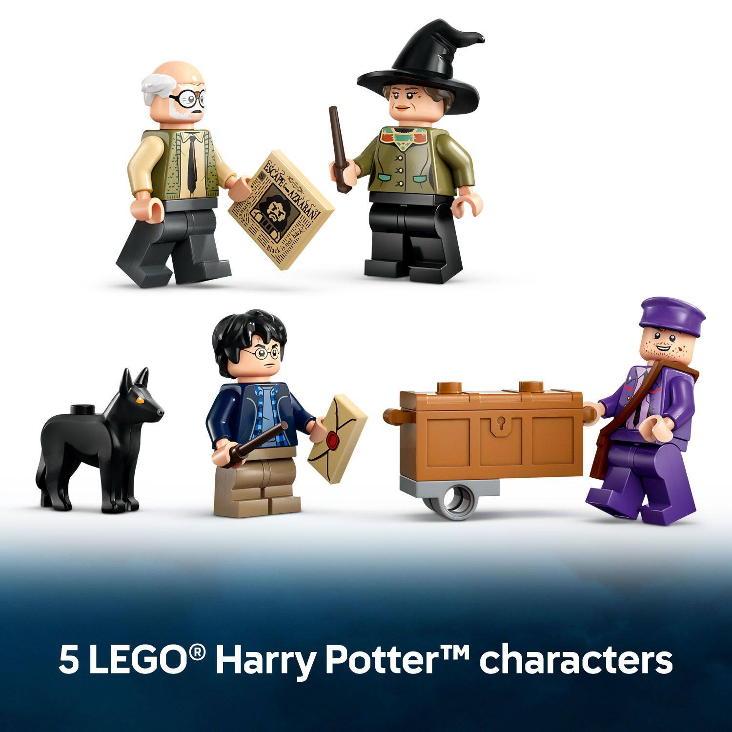 5 LEGO Harry PotterTM characters: ESCAPE AZARAN!