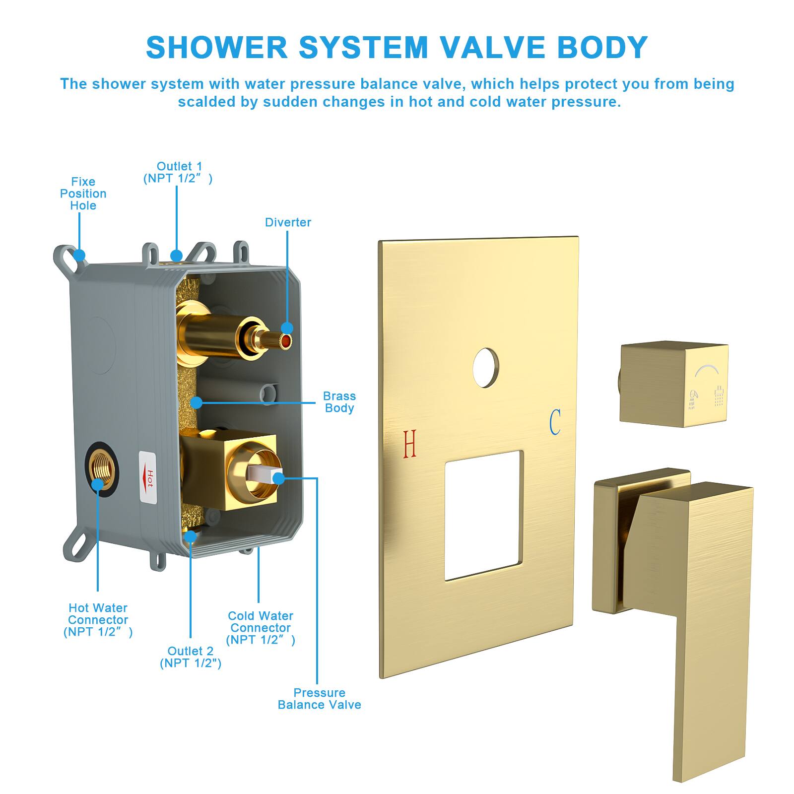 **SHOWER SYSTEM VALVE BODY**

The shower system with water pressure balance valve, which helps protect you from being scalded by sudden changes in hot and cold water pressure.

- **Fixe Position Hole**
- **Outlet 1 (NPT 1/2")**
- **Diverter**
- **Brass Body**
- **Hot Water Connector (NPT 1/2")**
- **Cold Water Connector (NPT 1/2")**
- **Outlet 2 (NPT 1/2")**
- **Pressure Balance Valve**
