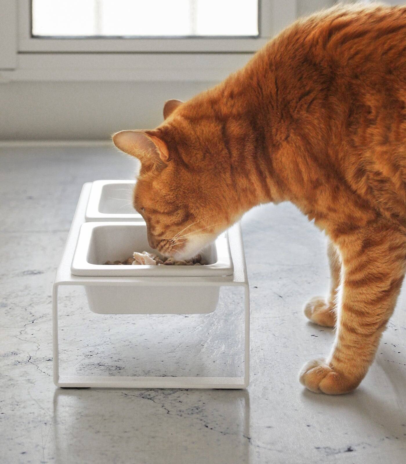 Alt View 1. Yamazaki Home - Pet Food Bowl - Tall - Steel + Ceramic - White.