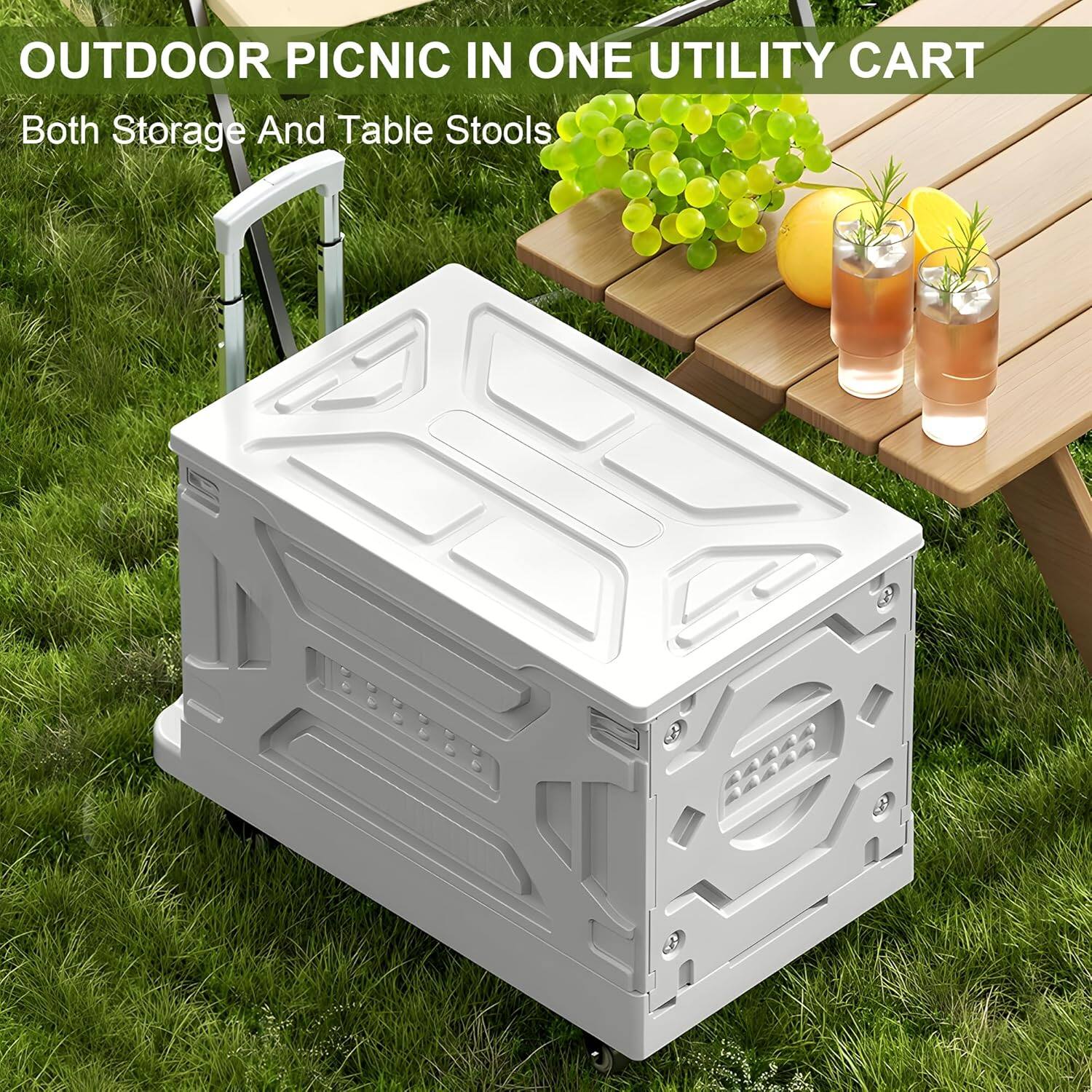 OUTDOOR PICNIC IN ONE UTILITY CART  
Both Storage And Table Stools