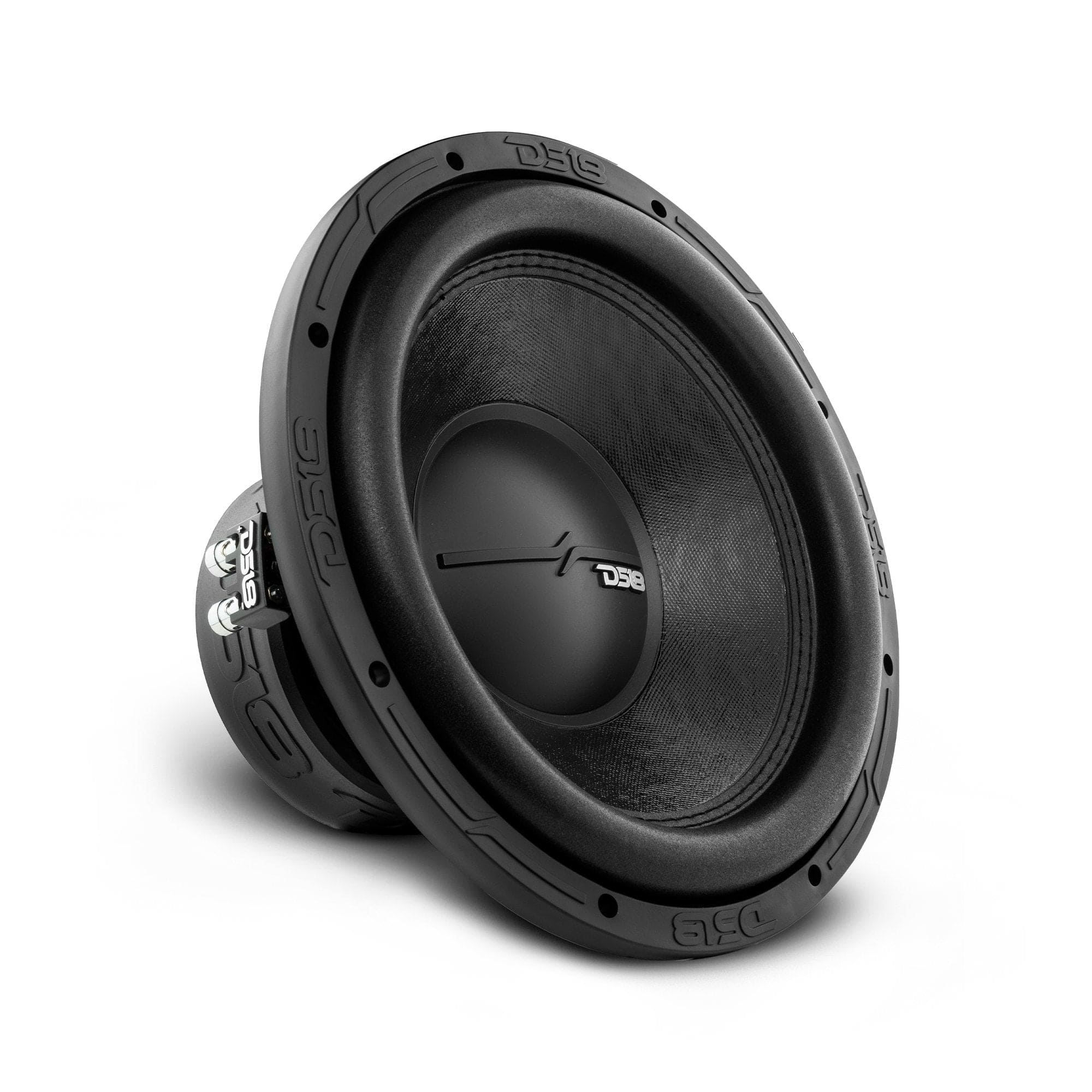 "DS18 Audio - ZR 12"" Subwoofer, 750W RMS Dual 2-Ohm" price history on PriceWatchPro