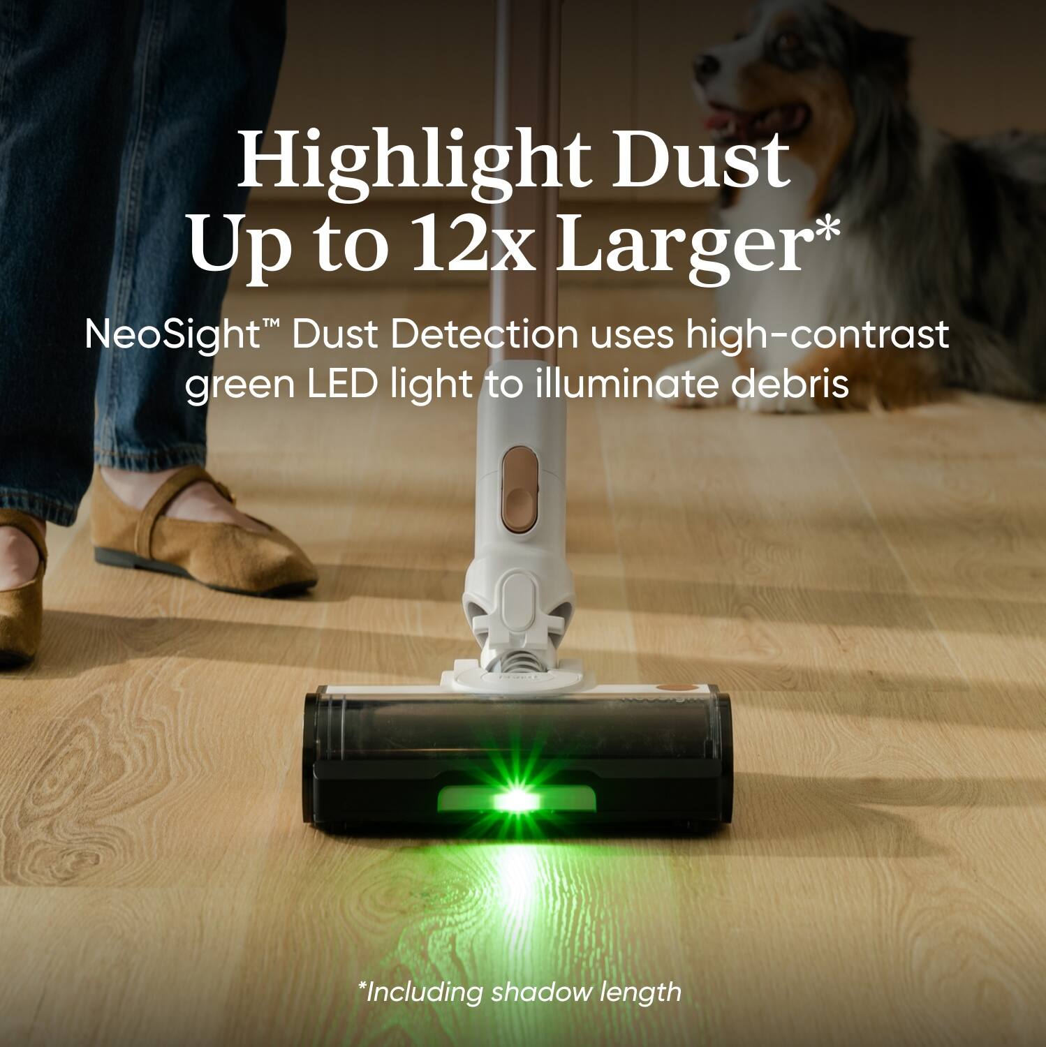 Highlight Dust Up to 12x Larger*

NeoSight™ Dust Detection uses high-contrast green LED light to illuminate debris

*Including shadow length