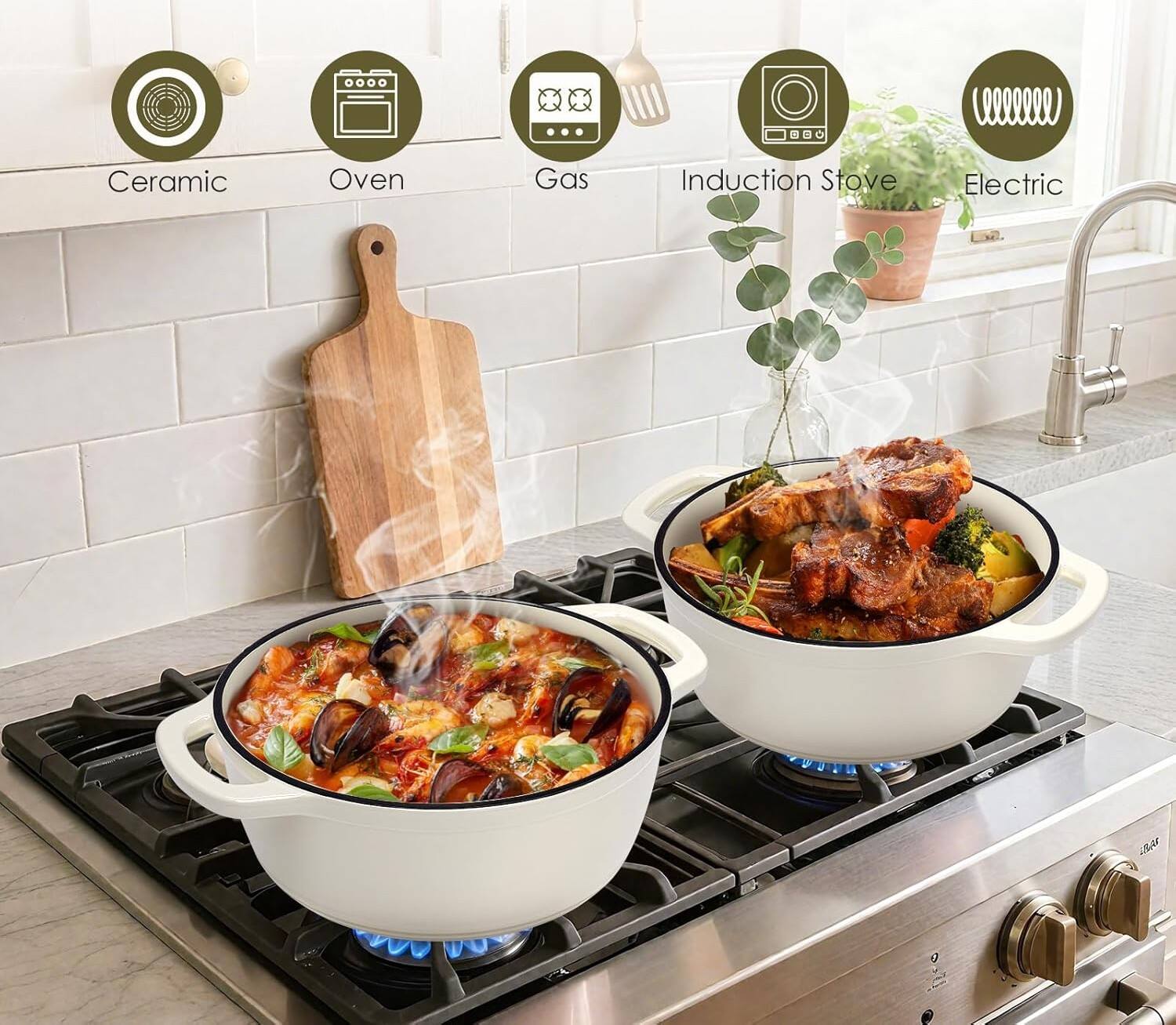 Ceramic Oven Gas Induction Stove Electric