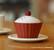 Cupcake with jerry @MaxiKing