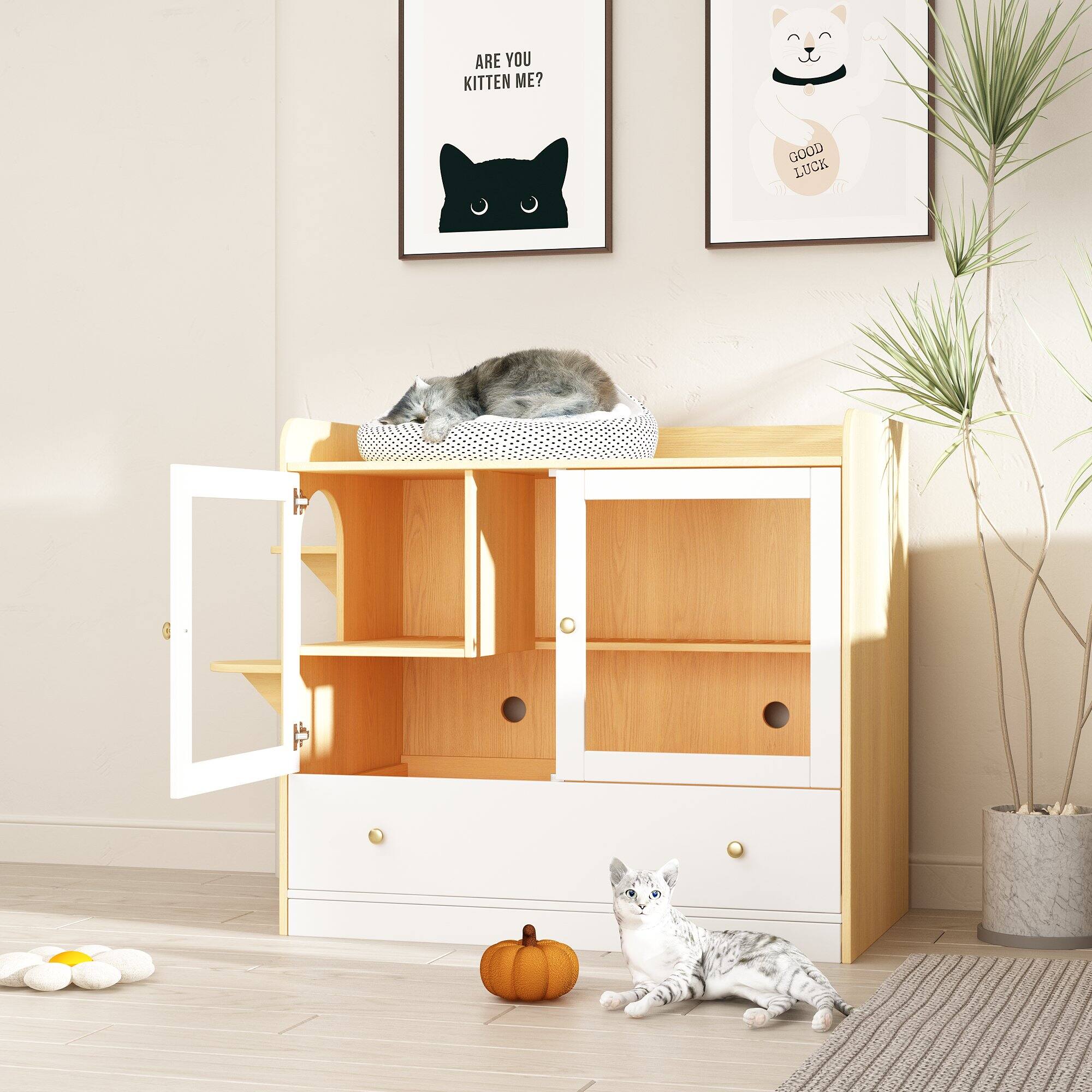 ARE YOU KITTEN ME?

GOOD LUCK