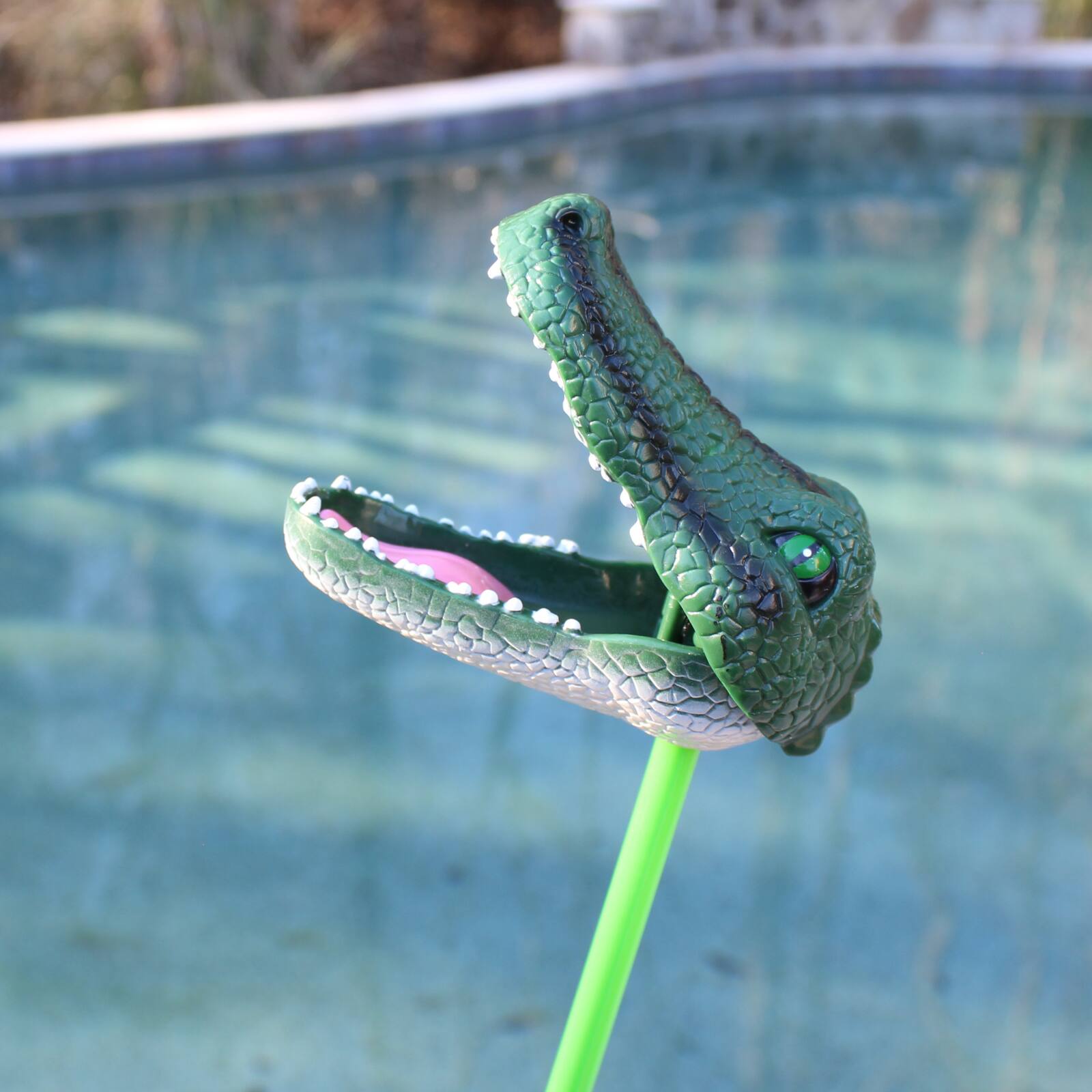 Back. Safari Ltd. - Snapper Alligator Toy.