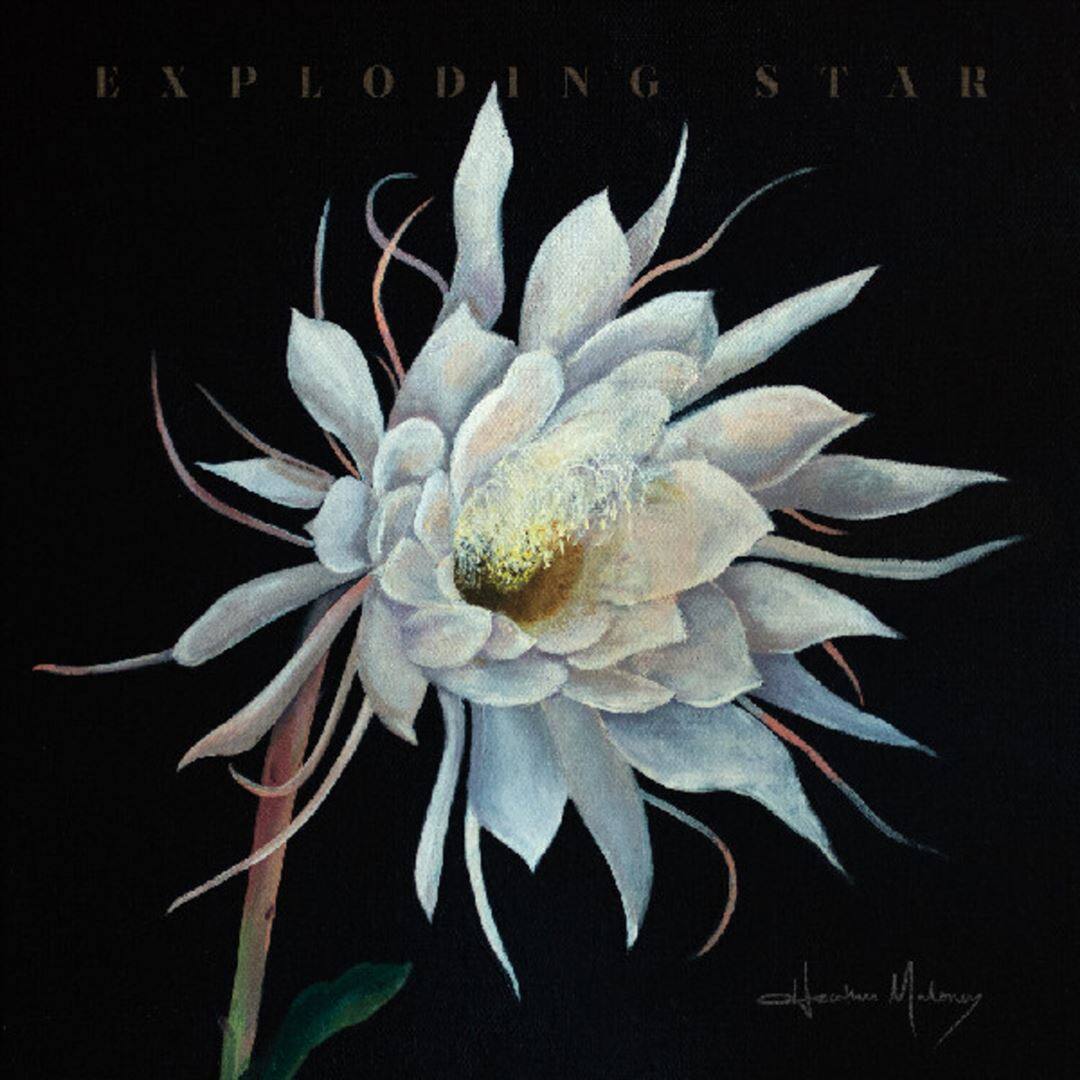 Exploding Star [LP] [VINYL]