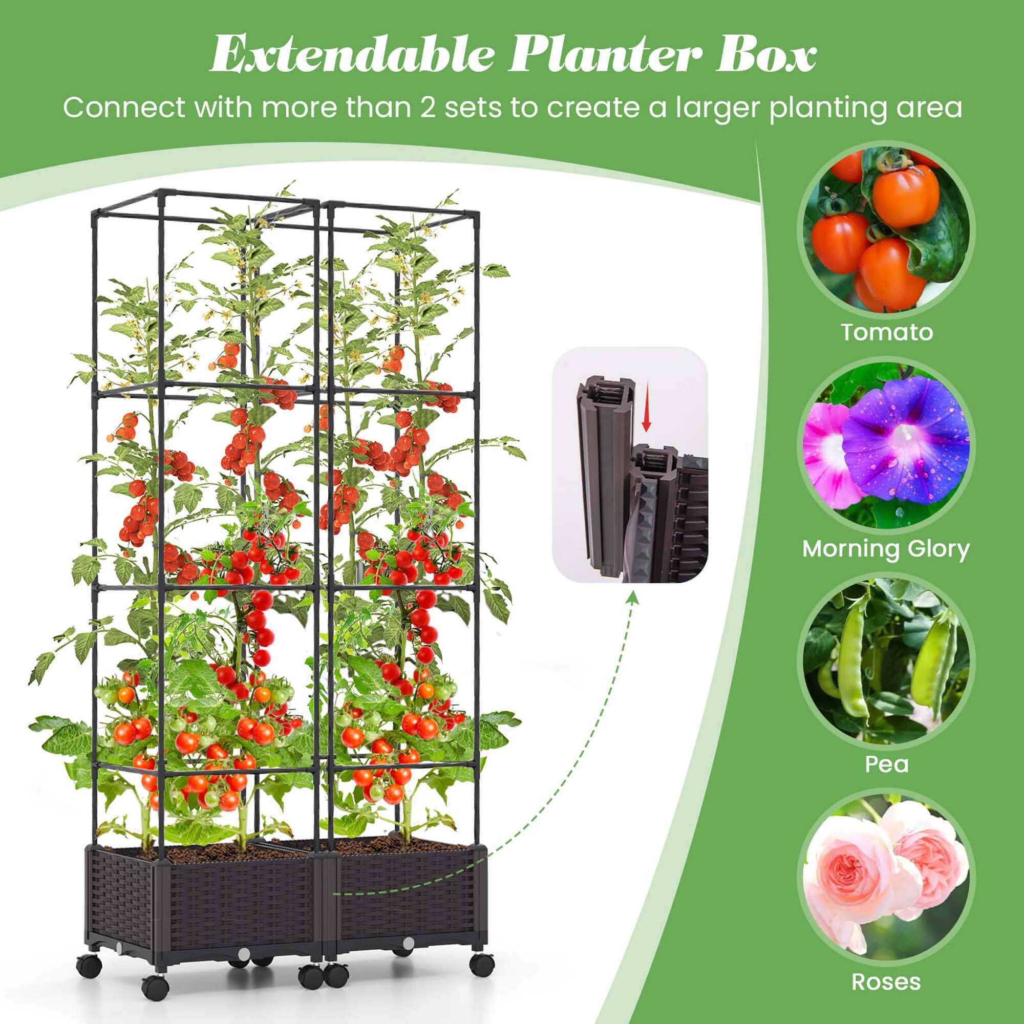 Extendable Planter Box: Connect with more than 2 sets to create a larger planting area. Includes tomato, morning glory, pea, and roses.