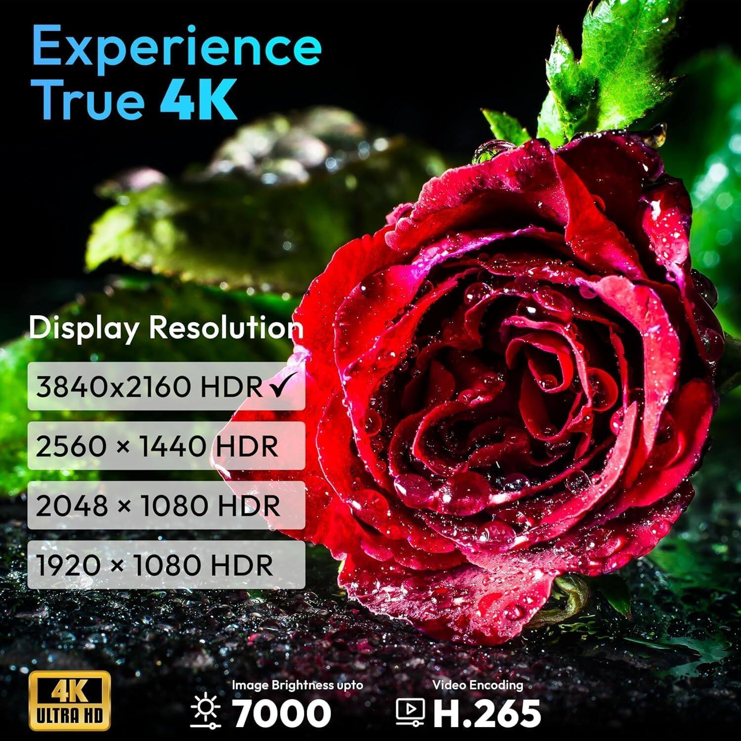 Experience True 4K
Display Resolution
- 3840x2160 HDR ✓
- 2560 x 1440 HDR
- 2048 x 1080 HDR
- 1920 x 1080 HDR
Image Brightness up to 7000
Video Encoding
- H.265
4K ULTRA HD