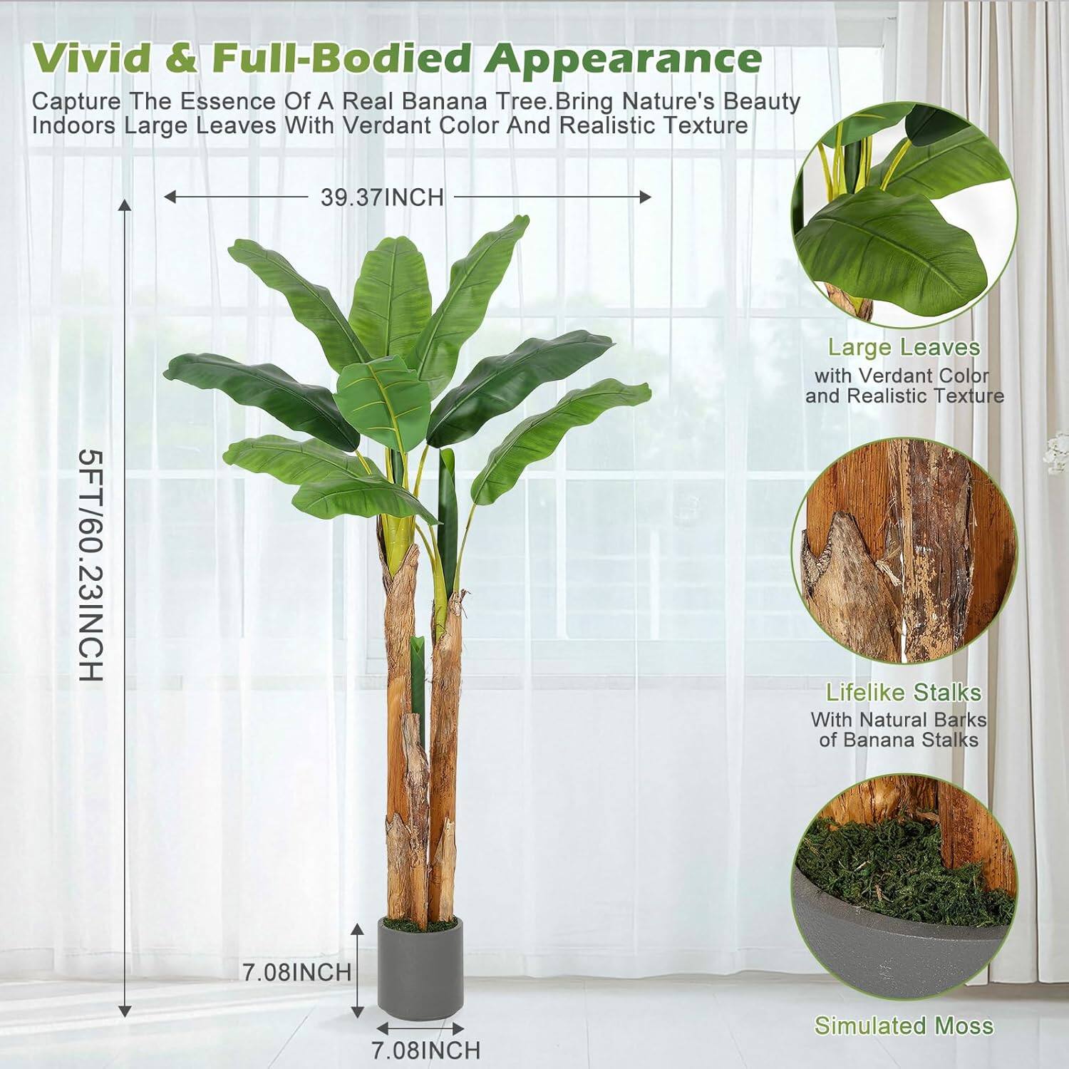 Vivid & Full-Bodied Appearance  
Capture The Essence Of A Real Banana Tree. Bring Nature's Beauty Indoors  

Large Leaves With Verdant Color And Realistic Texture  
39.37INCH  

Lifelike Stalks With Natural Barks of Banana Stalks  
7.08INCH  

Simulated Moss  

5FT/60.23INCH