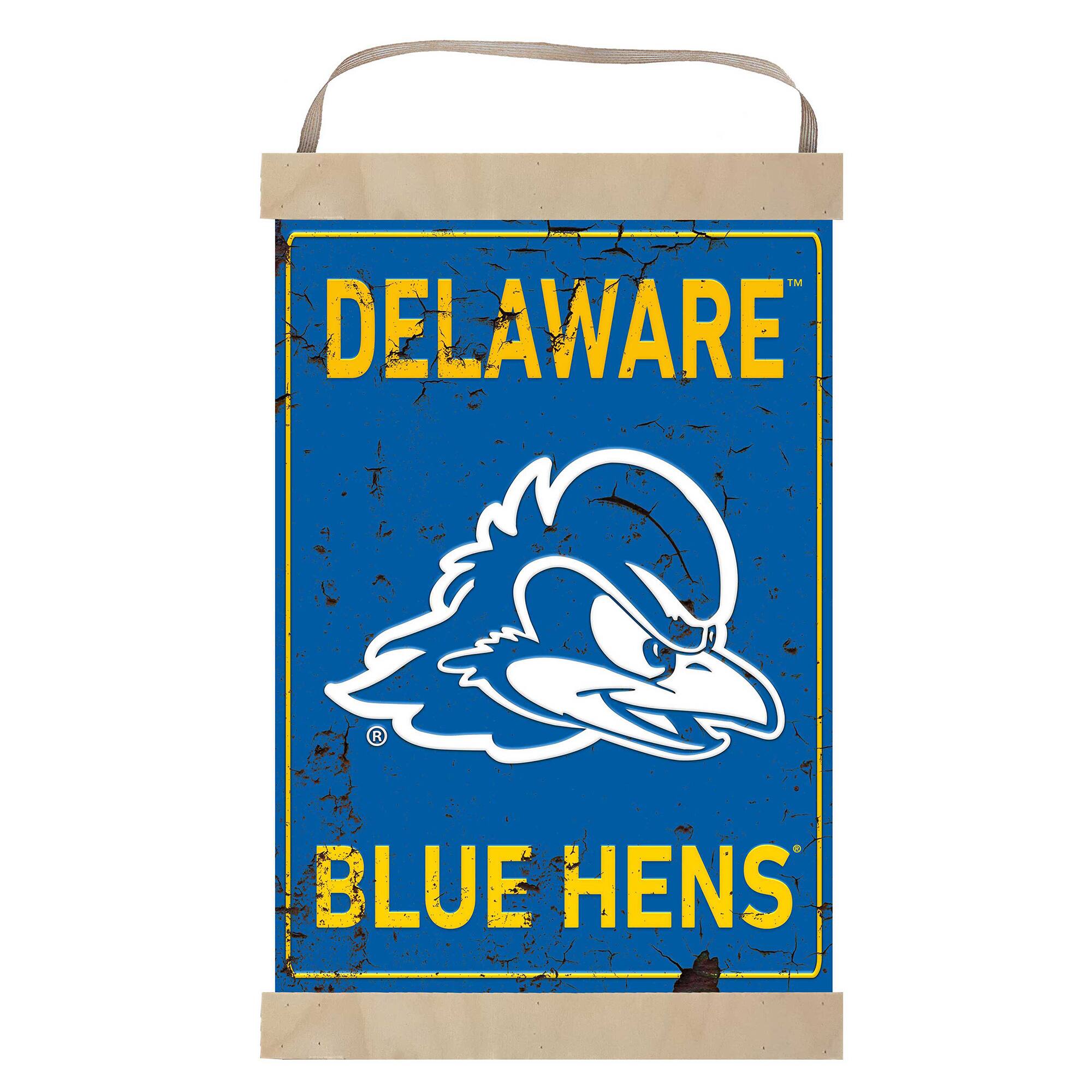 I'M DELAWARE BLUE HENS
