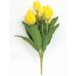 BreeBe - Yellow Blooming Tulips Bush - 18" - Yellow, Green