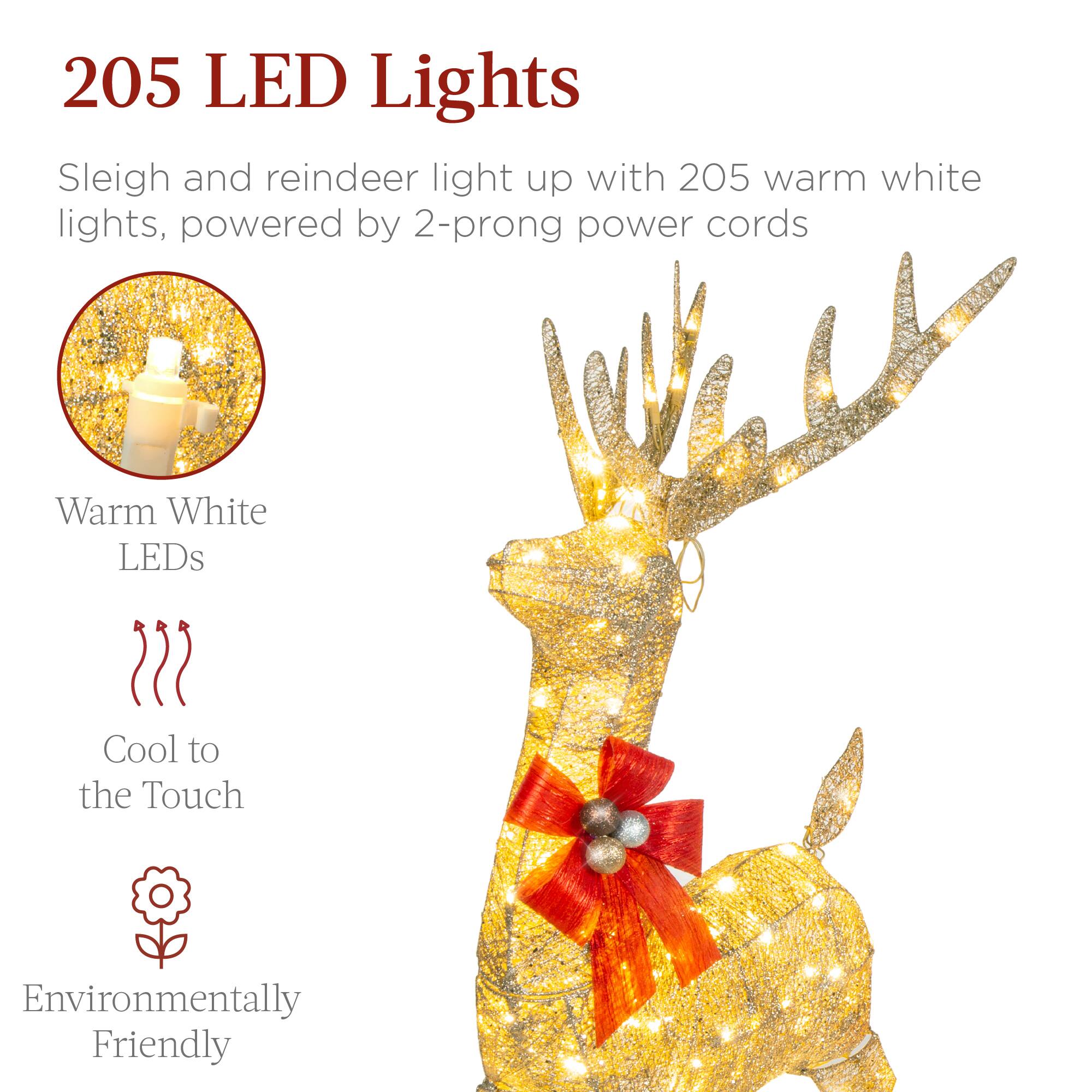 205 LED Lights

Sleigh and reindeer light up with 205 warm white lights, powered by 2-prong power cords

- Warm White LEDs
- Cool to the Touch
- Environmentally Friendly