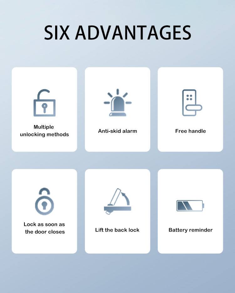 SIX ADVANTAGES

- Multiple unlocking methods
- Anti-skid alarm
- Free handle
- Lock as soon as the door closes
- Lift the back lock
- Battery reminder