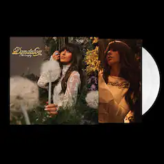 Country Vinyl Records