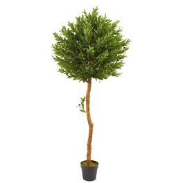 BreeBe - 5.5' Olive Artificial Tree UV Resistant (Indoor/Outdoor) - Green