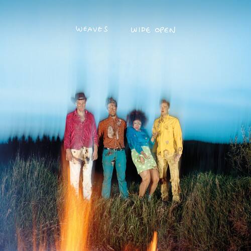 Weaves - Wide Open   - COMPACT DISCS [CD] price history on PriceWatchPro