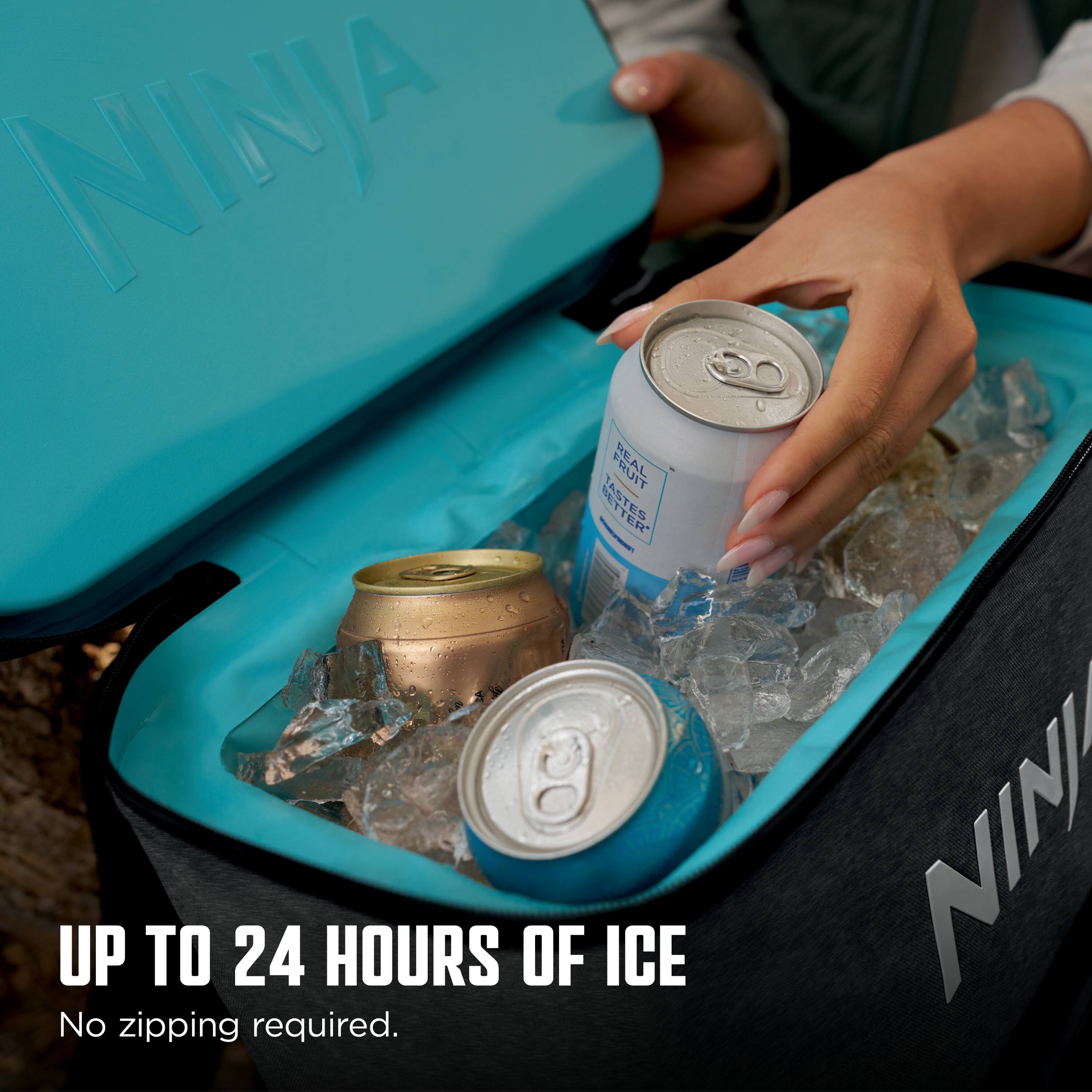 NINJA FRUIT REA STER ANT - FR - UP TO 24 HOURS OF ICE  
No zipping required.  
NINI