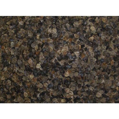 Angle. Hivvago - Japanese size 14 x 20 inch Organic Buckwheat Pillow - White.