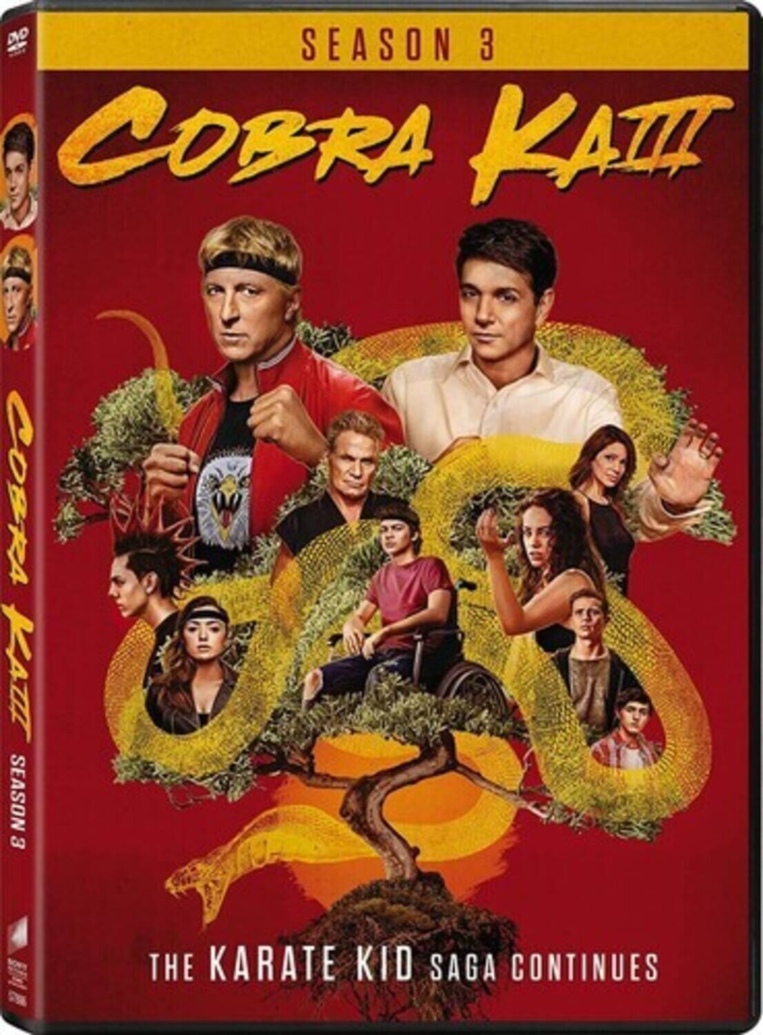 Alt View 1. Cobra Kai: Season 3   - DVD.
