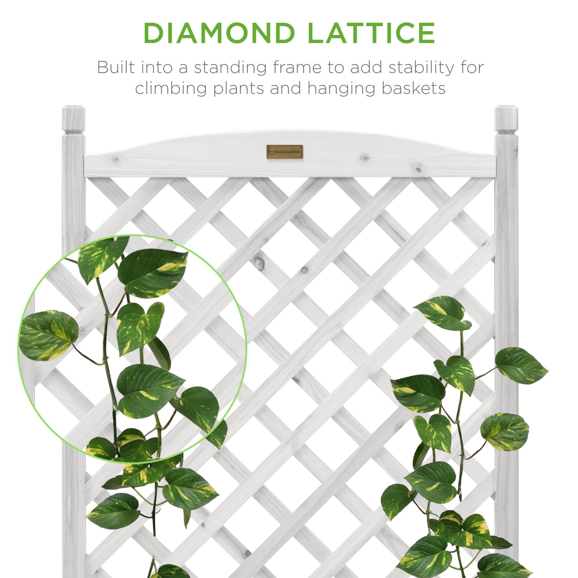 DIAMOND LATTICE  
Built into a standing frame to add stability for climbing plants and hanging baskets