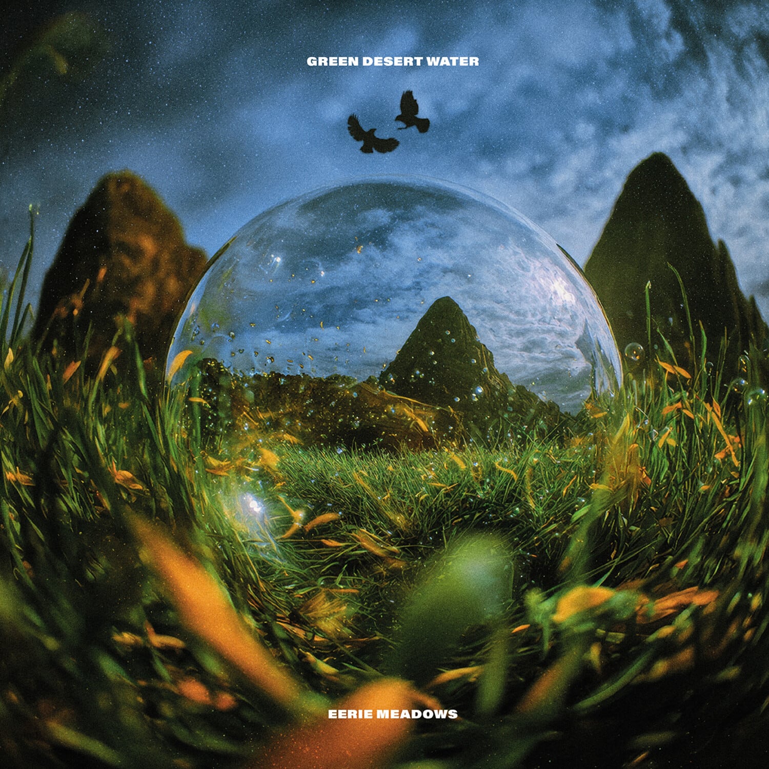 Green Desert Water - Eerie Meadows   - COMPACT DISCS [CD] price history on PriceWatchPro