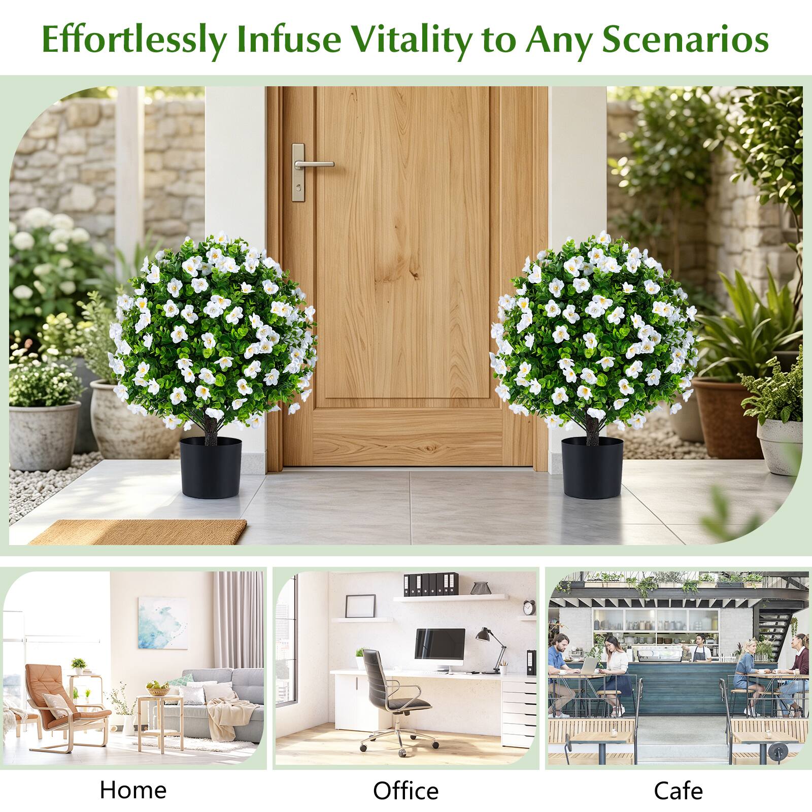 Effortlessly Infuse Vitality to Any Scenarios

Home  
Office  
Cafe